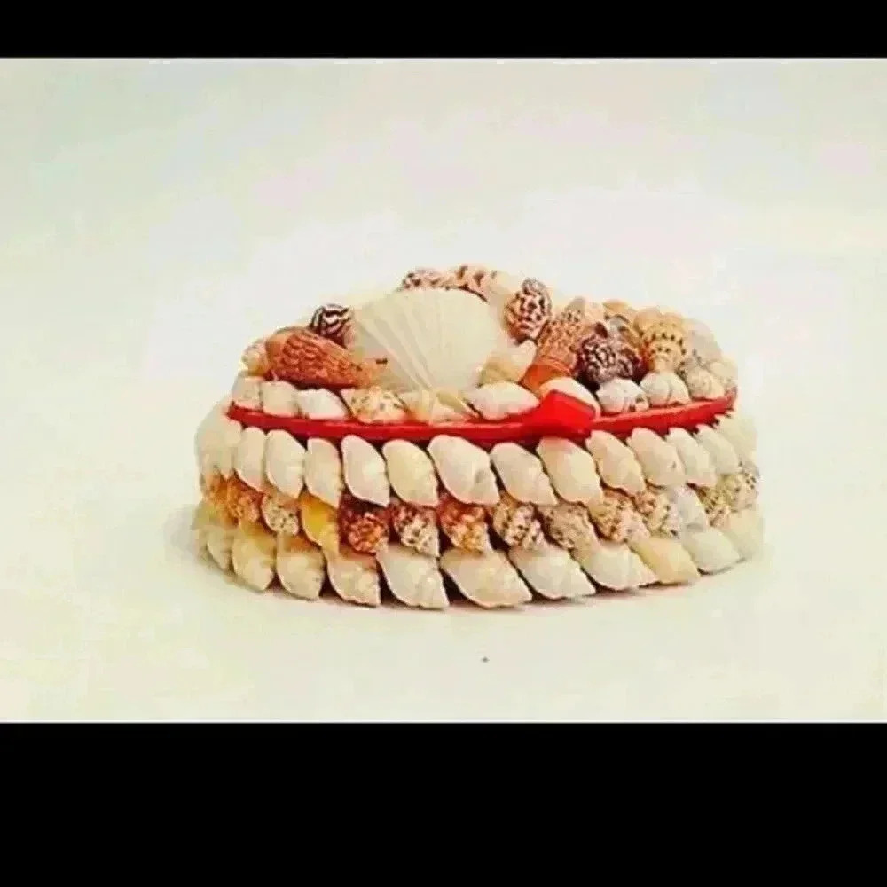 Jewelry shell box new